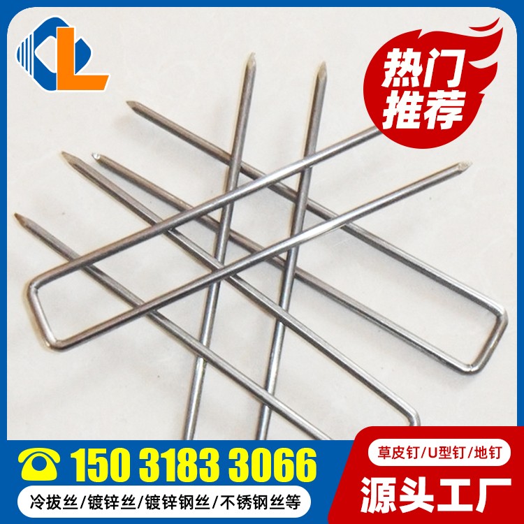 土工格栅钉子