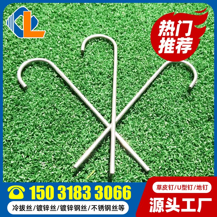镀锌草皮钉 草皮钉土工格栅 V型角钉 地钉子
