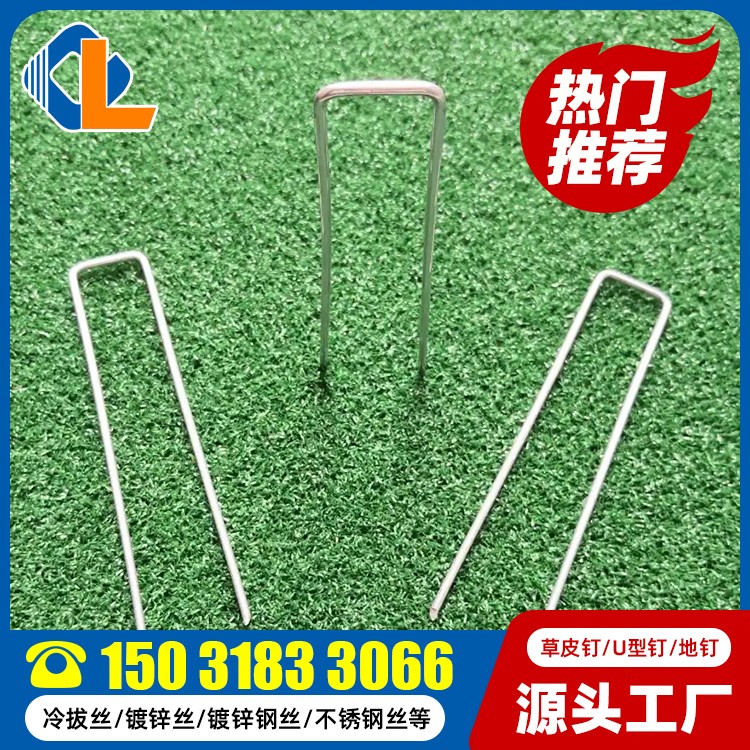 草坪固定钉 草皮钉哪里有卖 草坪钉土工格栅 地钉使用方法