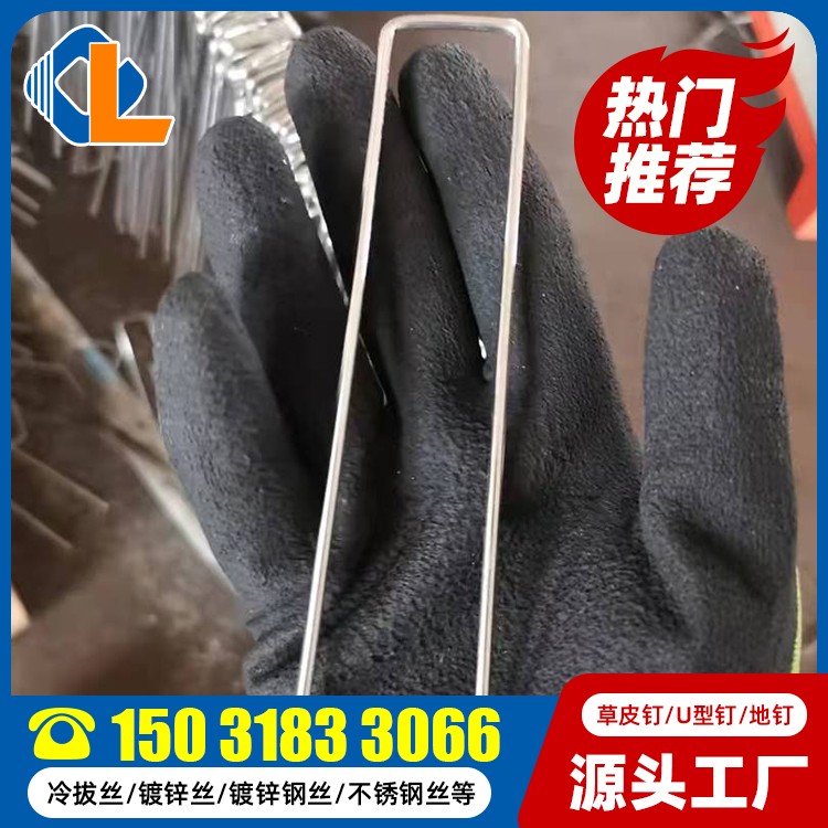土工格栅固定钉 草坪钉固定器图片 草皮钉一般钉什么东西 草皮钉型号