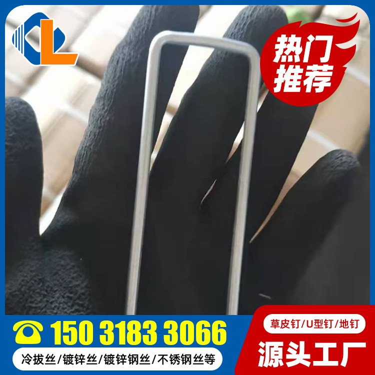表面带纹草坪钉 土工格栅固定草坪钉 草皮钉图片 碳钢草皮钉