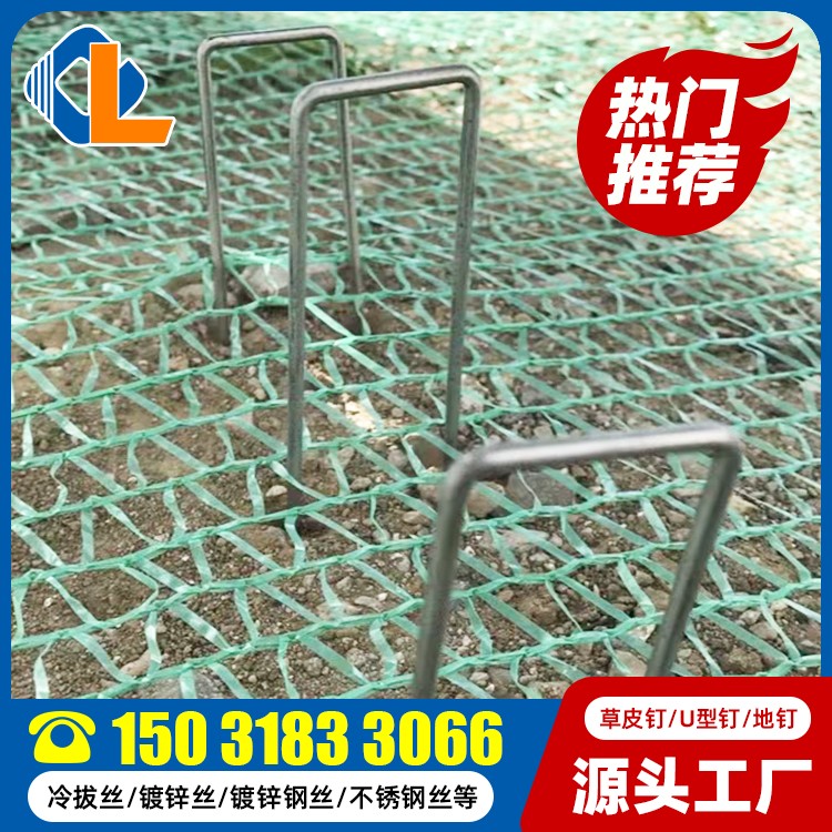 土工格栅草皮钉尺寸 U型锚钉价格 草坪钉厂家 地钉规格