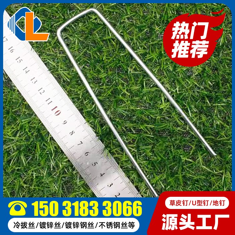 草皮钉固定器图片 草坪钉生产厂家 草坪钉一般在哪可以买到 草坪钉直钉