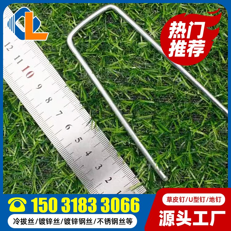 土工格栅草皮钉尺寸 土工格栅地钉规格 草坪钉价格 土工格栅草坪钉