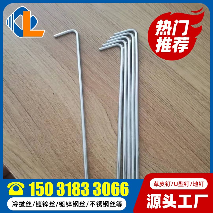 10cm长草坪钉 碳钢草皮钉 草坪钉子 土工格栅草坪钉